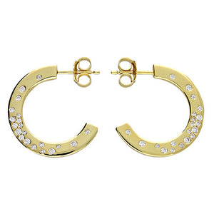 Moon dust Hoop Earrings